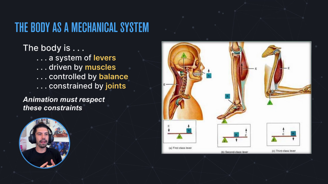 BIOMECHANICS OF THE HUMAN BODY - LECTURE
