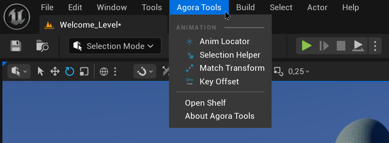 Agora.community | Agora Unreal tools Documentation